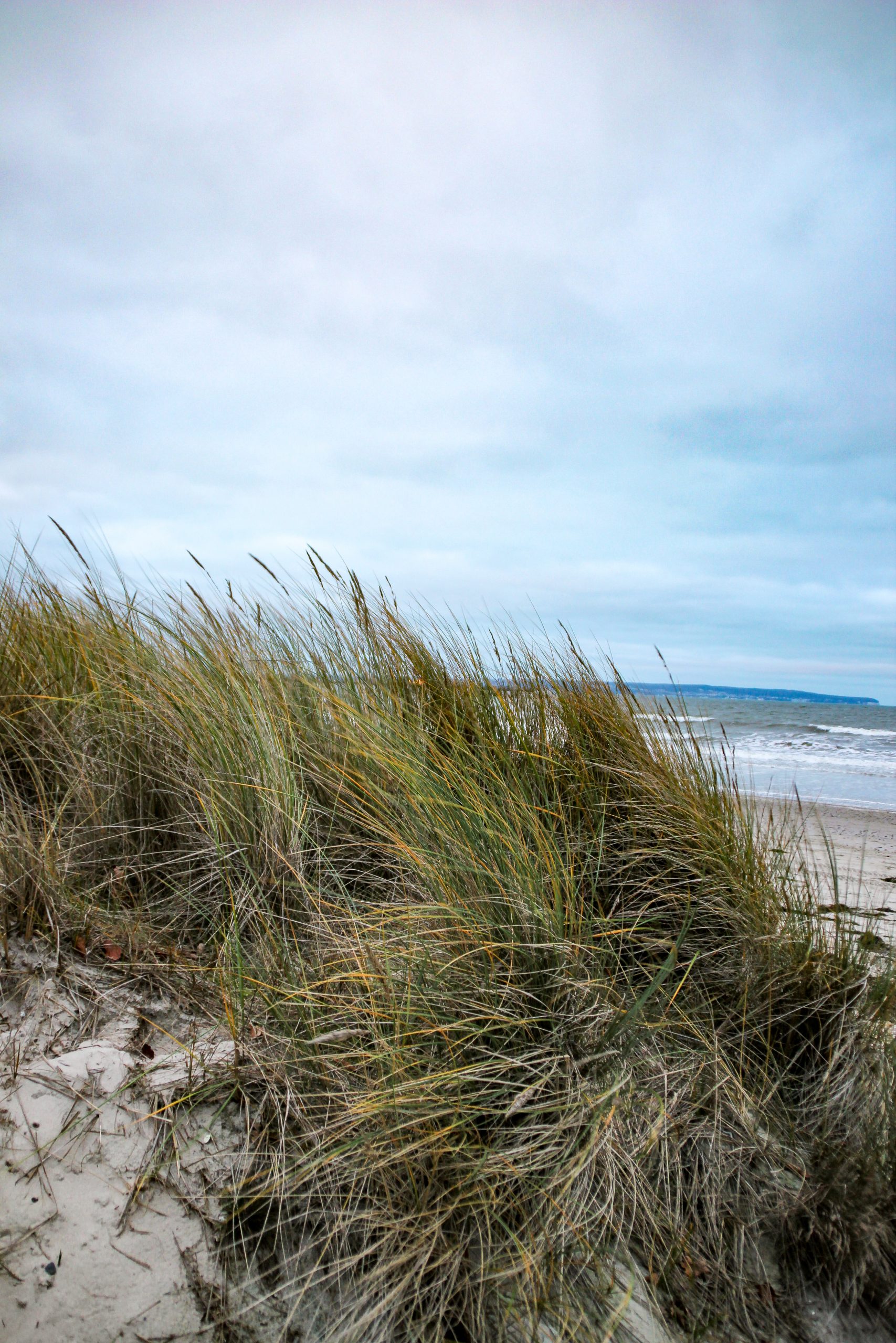 Ein Raum für regionales Handwerk und Esskultur.